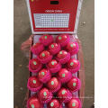 Fresh Fruits Red FUJI Apples Delicious Apples